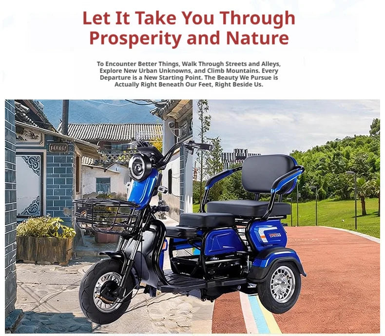 New Cargo Tricycle Home Small Electric Three-wheeled Open Body 600W/800W/1000W Lead Acid Battery