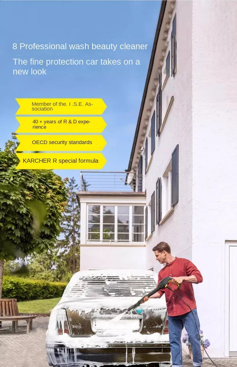 Car washing machine 220V high-pressure household water gun new portable car brushing artifact cleaning high-power pump