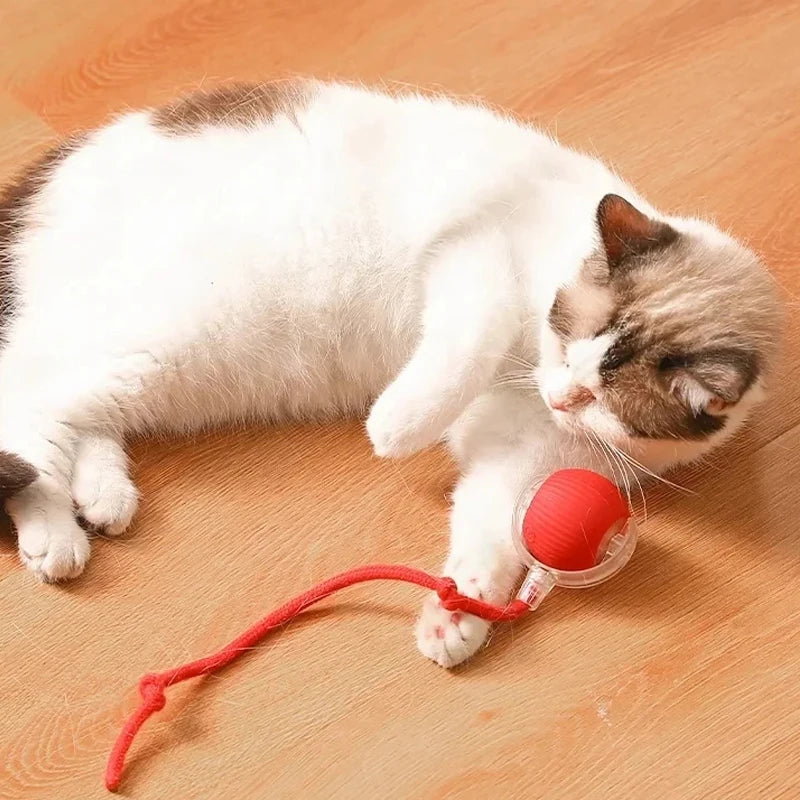 Kedi İnteraktif Top Oyuncağı - Otomatik Yuvarlanan, Şarj Edilebilir Akıllı Elektrikli Sensörlü Kedi Topu