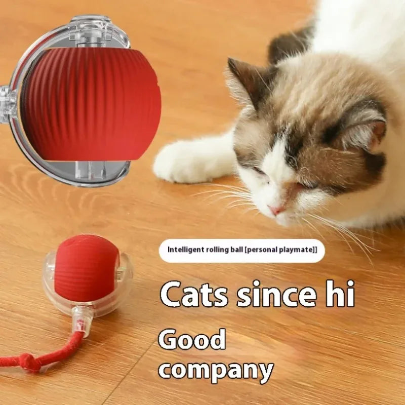 Kedi İnteraktif Top Oyuncağı - Otomatik Yuvarlanan, Şarj Edilebilir Akıllı Elektrikli Sensörlü Kedi Topu